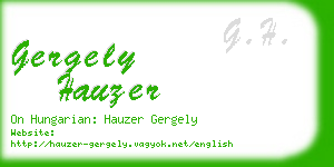 gergely hauzer business card